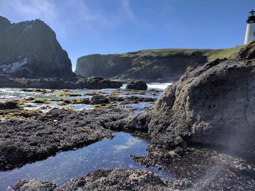 Oregon-65026ae5.jpg