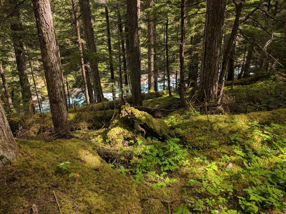 Valemount-414899ff.jpg