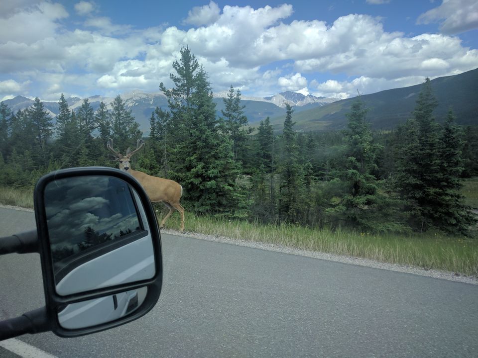 Valemount-7ad5467b.jpg