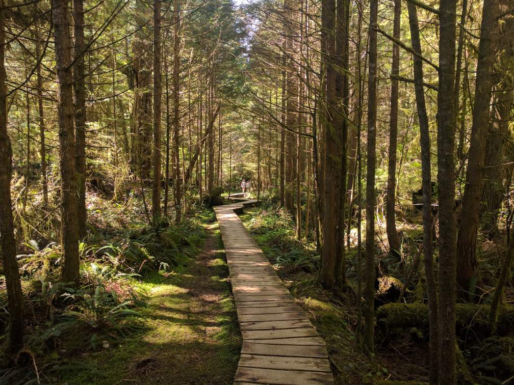vancouverisland-9d190677.jpg