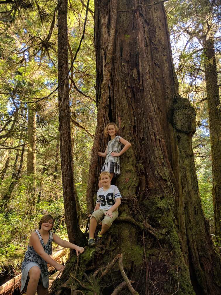vancouverisland-b30adf9d.jpg