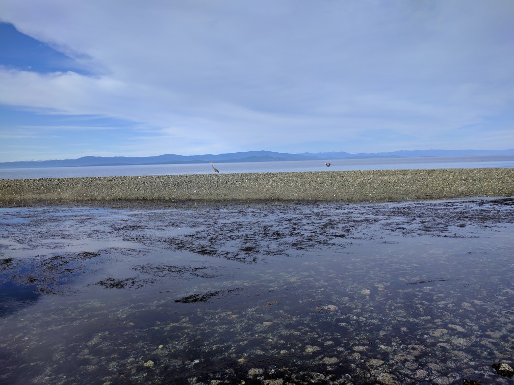 vancouverisland-dc3cc6a4.jpg