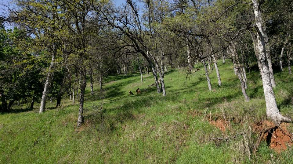 yosemite-282c01cc.jpg
