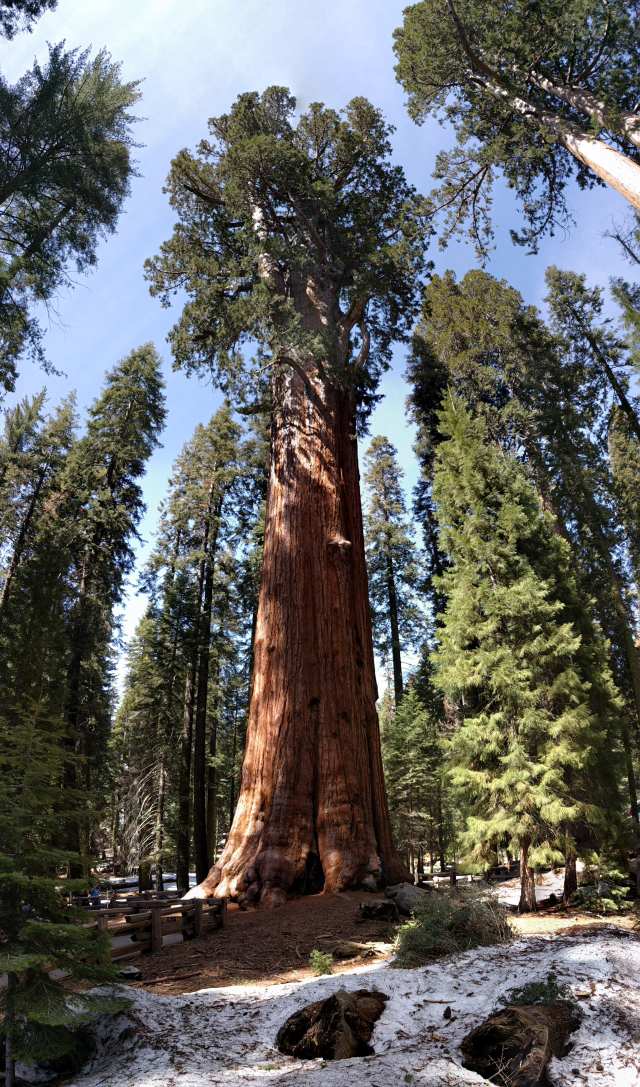 yosemite-5d755287.jpg