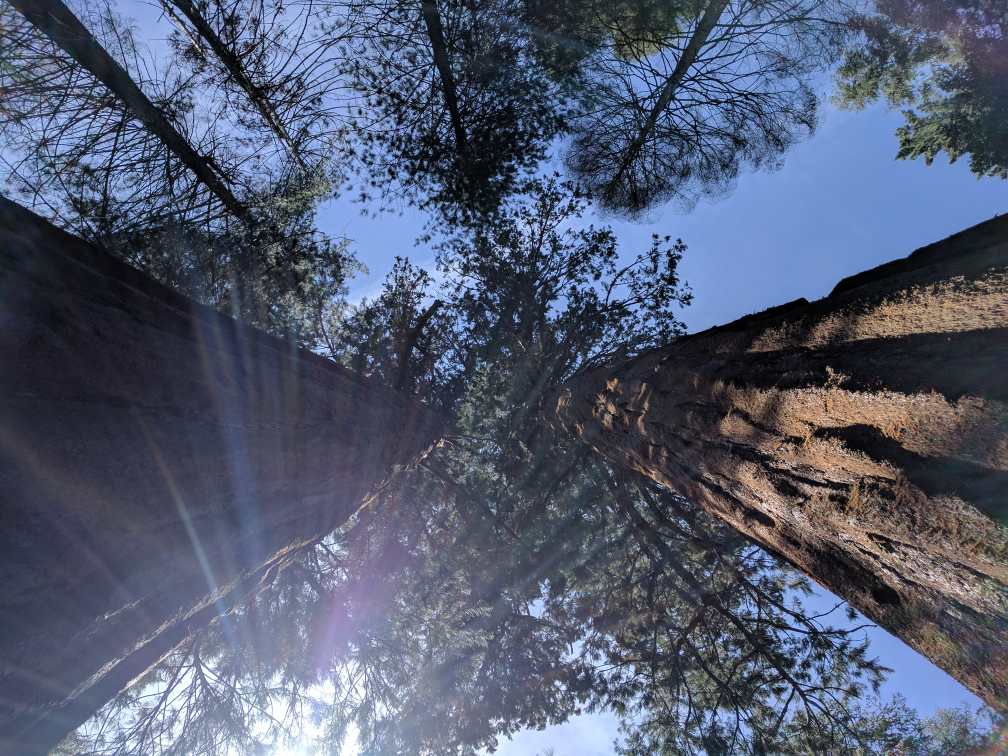 yosemite-97c2266e.jpg