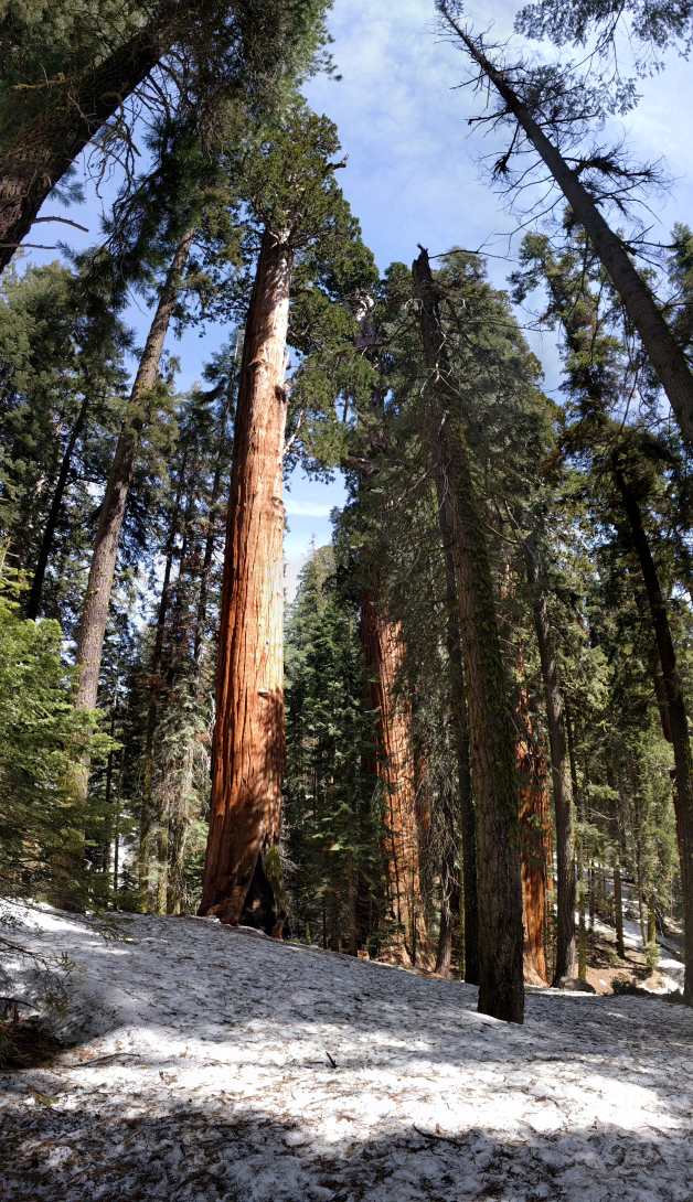 yosemite-caad288e.jpg