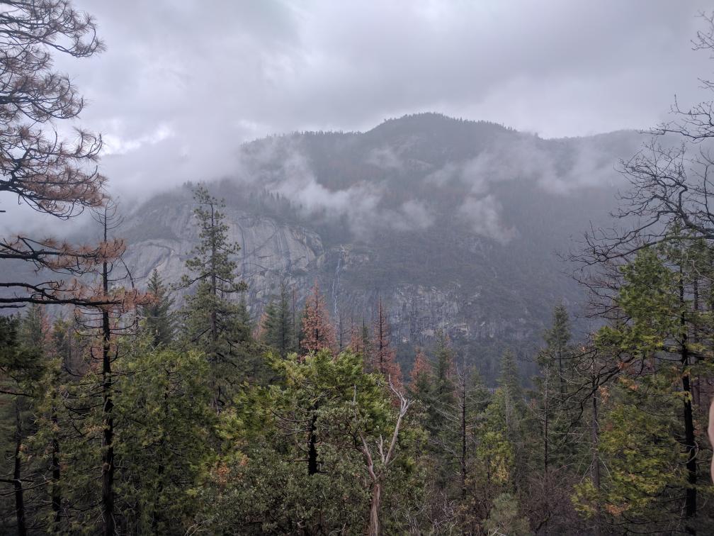 yosemite-d544db3a.jpg